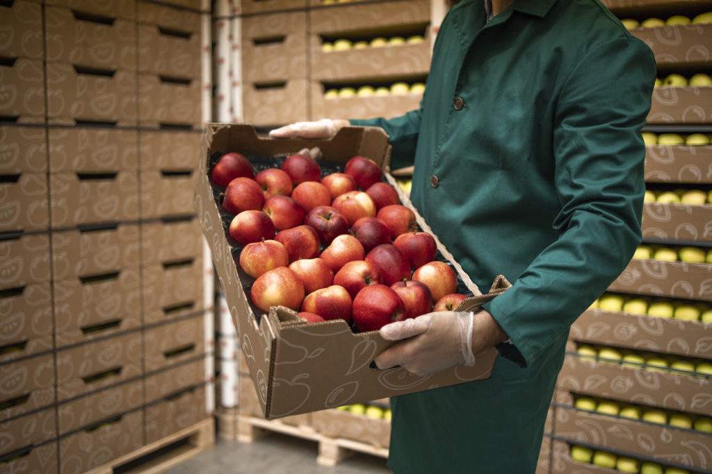 Warehouse worker carrying apples